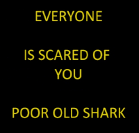 Everyone is scared of you, poor old shark